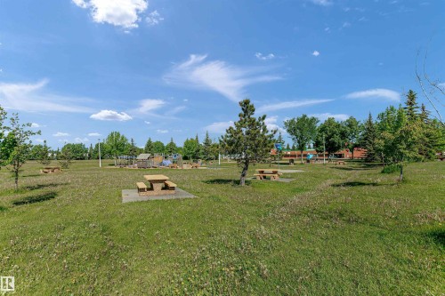 Expansive green space featuring picnic tables, mature trees, and a distant playground structure - 4112 37A Avenue Nw, Edmonton, AB 