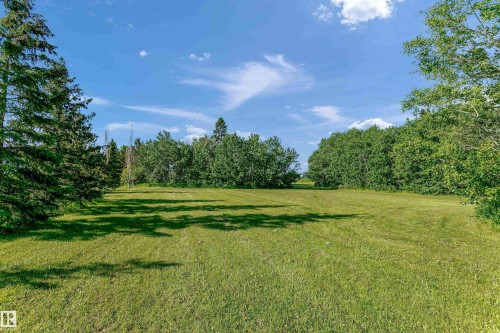 Expansive green lawn surrounded by mature trees - 4112 37A Avenue Nw, Edmonton, AB 