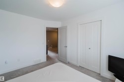 Neutral-toned carpeting paired with white walls - 