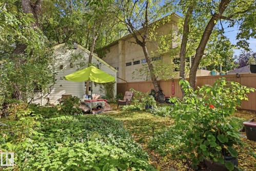Expansive yard space featuring mature trees and established greenery - 9628 100A Street Nw, Edmonton, AB 