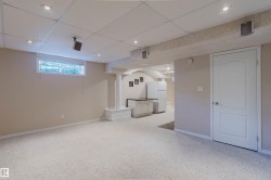 Recessed lighting, light-toned carpeting, window, white paneled door, and built-in cabinetry - 
