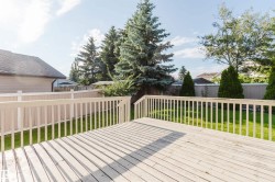 Expansive outdoor deck with white railing, overlooking a fenced yard and mature trees - 