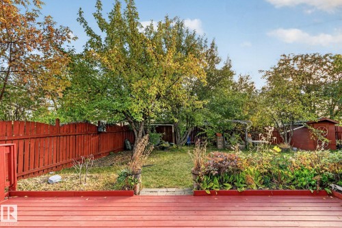 Red wood-finish deck with a fenced yard, mature trees, and garden beds - 11 Howson Crescent Nw, Edmonton, AB 