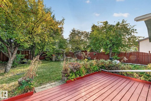 Expansive backyard featuring a red wood-finish deck, lush green lawn, mature trees, and a privacy fence - 11 Howson Crescent Nw, Edmonton, AB 