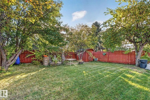 Expansive backyard featuring a manicured lawn, mature trees, a red picket fence, and a storage shed - 11 Howson Crescent Nw, Edmonton, AB 