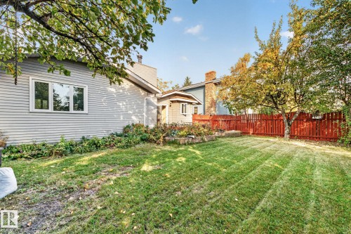 Expansive backyard featuring a manicured lawn, established trees, and a privacy fence - 11 Howson Crescent Nw, Edmonton, AB 