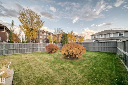 Expansive fenced backyard featuring a manicured lawn, established shrubs, and wood fencing - 1673 Cunningham Way Sw, Edmonton, AB 