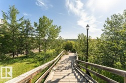 Wood-finish walkway with wooden handrails, surrounded by extensive natural landscaping - 