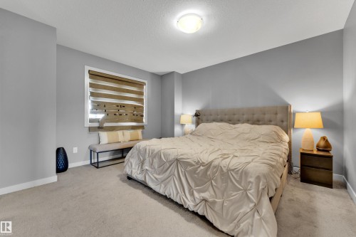 Soft gray walls complemented by light carpet flooring - #22 4205 30 St Nw, Edmonton, AB 