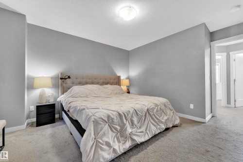 Neutral gray wall paint, plush carpet flooring, white trim, and a flush mount ceiling light - #22 4205 30 St Nw, Edmonton, AB 