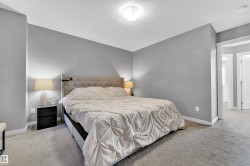 Neutral gray wall paint, plush carpet flooring, white trim, and a flush mount ceiling light - 