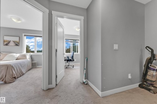 Neutral gray wall paint, white trim, and light-colored carpet flooring - #22 4205 30 St Nw, Edmonton, AB 