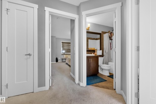 Carpeted hallway featuring white paneled doors, light grey walls, and white trim - #22 4205 30 St Nw, Edmonton, AB 