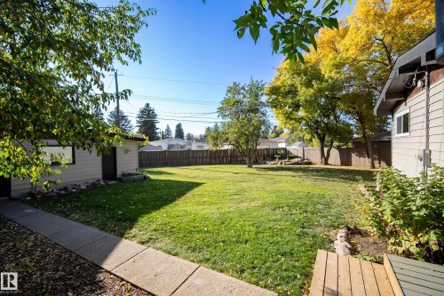 Expansive backyard featuring a manicured lawn, mature trees, and a privacy fence - 10316 42 Street Nw, Edmonton, AB 