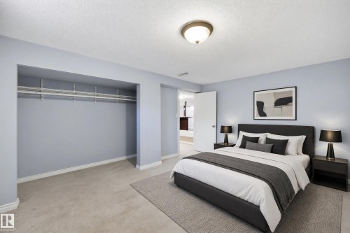 Recessed closet with adjustable shelving, wall-to-wall carpeting, and a flush mount ceiling light - 74 Aspen Crescent, St. Albert, AB 