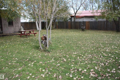 Expansive green lawn with established trees and privacy fencing - 5012 49 Ave, Radway, AB 