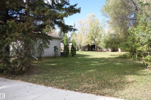 Expansive green lawn with mature trees and a detached structure featuring horizontal siding - 5012 49 Ave, Radway, AB 