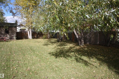 Expansive grassy yard with mature trees and wood fencing - 5012 49 Ave, Radway, AB 