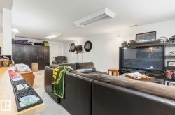 Recessed lighting, wall-mounted dartboards, entertainment center, built-in shelving, light-colored carpeting - 
