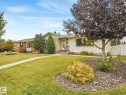 Expansive front yard with a paved walkway, mature trees, and decorative landscaping - 5904 94 Avenue Nw, Edmonton, AB 