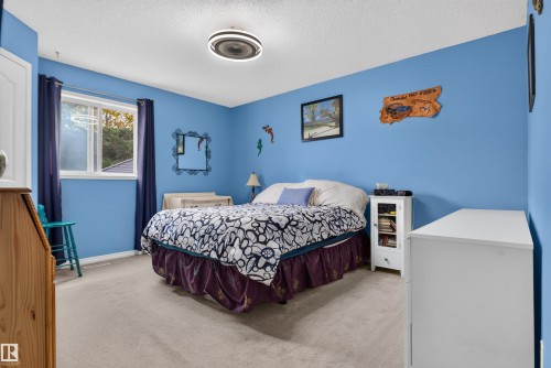 Carpeted flooring, a window with white trim, a built-in ceiling light fixture, and blue wall finishes - 1519 104 Street Nw, Edmonton, AB 