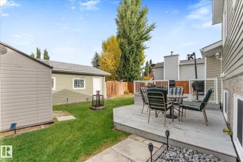 Expansive backyard featuring a raised wood deck, established lawn, and privacy fencing - 4103 44 Avenue, Stony Plain, AB 