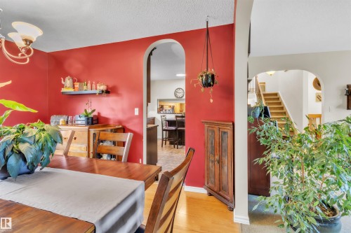 Wood-finish flooring with arched doorways - 76 Gariepy Crescent Nw, Edmonton, AB 