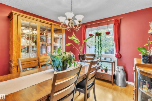 Wood-finish flooring with a flush ceiling light fixture - 76 Gariepy Crescent Nw, Edmonton, AB 