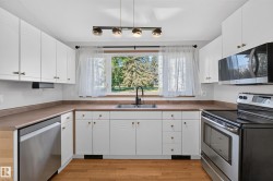 Kitchen featuring white cabinetry, wood-finish flooring, stainless steel appliances, and a window with exterior views - 
