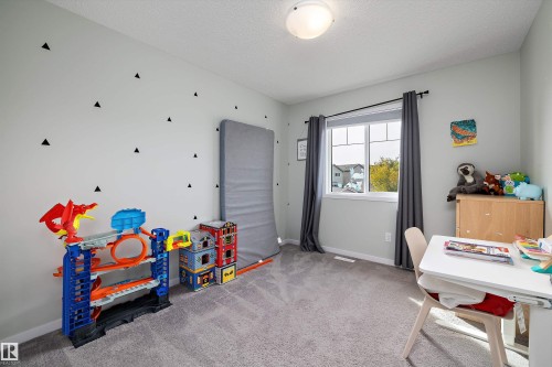 2927 11 Street Nw, Edmonton, AB 