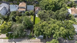 Expansive property with a large, manicured lawn and mature trees - 