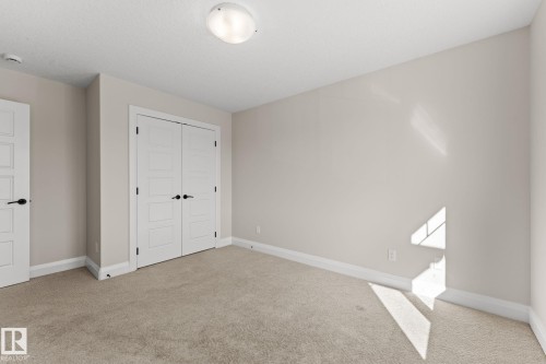 Neutral paint palette with ceiling-mounted lighting - 229 Albany Drive Nw, Edmonton, AB 