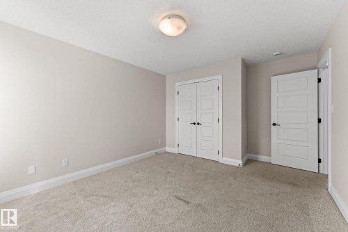 Neutral wall paint, plush carpet flooring, white trim, two panel doors, flush mount ceiling light - 229 Albany Drive Nw, Edmonton, AB 