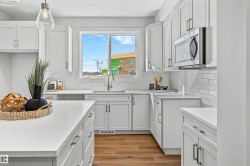 3028 192 Street NW Edmonton, AB T6M 3M3