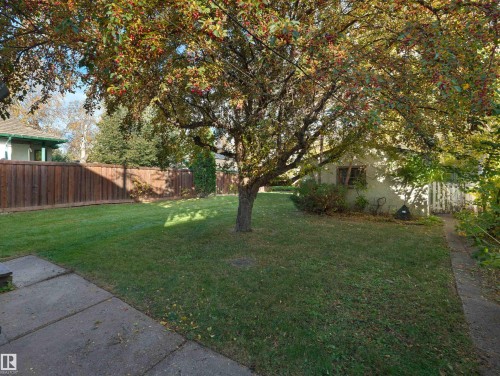 11142 71 Avenue Nw, Edmonton, AB 
