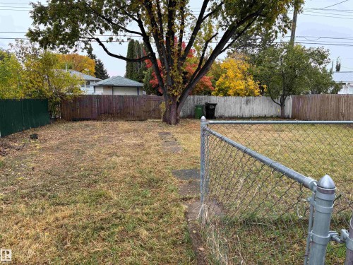 Expansive yard space featuring a chain-link fence, a wood fence, and mature trees - 7623 130 Avenue Nw, Edmonton, AB 
