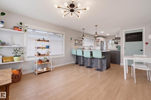 Open-concept living space featuring light wood-finish flooring, a modern sputnik chandelier, multiple windows with blinds, a kitchen island with seating, and dark-toned cabinetry - 9020 152 Street Nw, Edmonton, AB 
