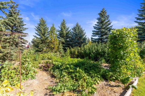 #238 54418 Rge Road 251, Rural Sturgeon County, AB 