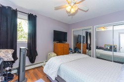 Recessed window, ceiling fan, mirrored closet doors, and wood-finish flooring - 