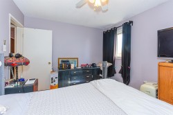 Ceiling fan with light fixture - 