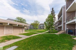Expansive communal green space featuring a concrete pathway system and mature trees - 