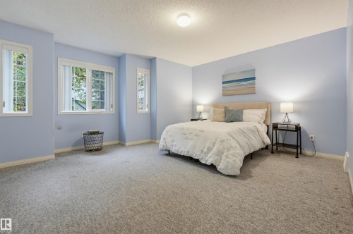 Plush carpeting, multiple windows providing natural illumination, light blue walls, and a ceiling-mounted light fixture - 7521 111 Avenue Nw, Edmonton, AB 