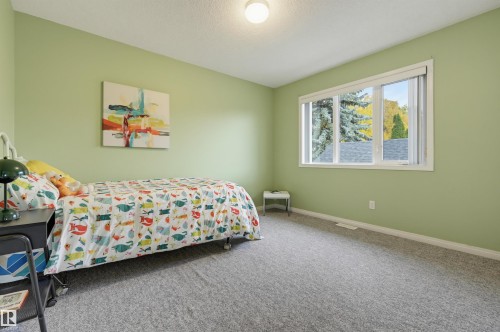 Light green walls, white trim, and gray carpeting - 7521 111 Avenue Nw, Edmonton, AB 