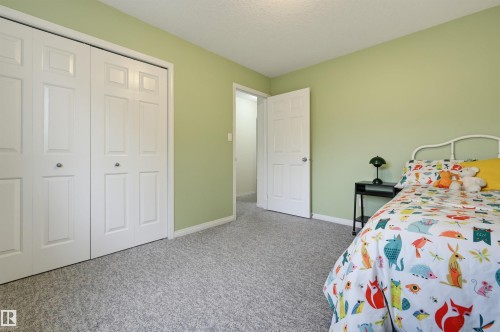 Neutral-toned carpeting, light green wall paint, and a white paneled door - 7521 111 Avenue Nw, Edmonton, AB 