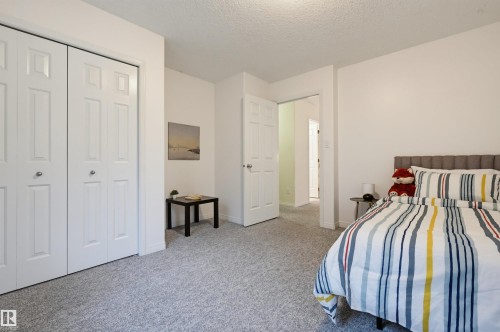 Light gray textured carpet flooring - 7521 111 Avenue Nw, Edmonton, AB 