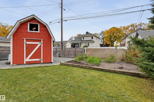 Expansive backyard featuring a red gambrel roof shed with white trim, a gravel base, a well-maintained lawn, and a raised garden bed - 7521 111 Avenue Nw, Edmonton, AB 