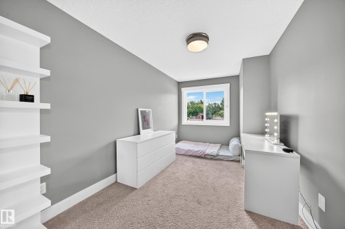 Warm-toned carpeting and light gray wall paint - 12730 118 Street Nw, Edmonton, AB 