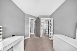 Plush carpet flooring, neutral gray wall tones, white trim, solid panel interior doors, and a mirrored closet door - 
