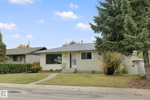 Paved driveway, mature evergreen tree, established landscaping, front-facing windows, and a paved walkway - 8424 70 Street Nw, Edmonton, AB 