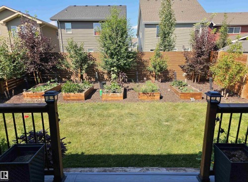 Landscaped backyard featuring a manicured lawn, multiple raised garden beds, mature trees, and a privacy fence - 40 Jamison Crescent, St. Albert, AB 